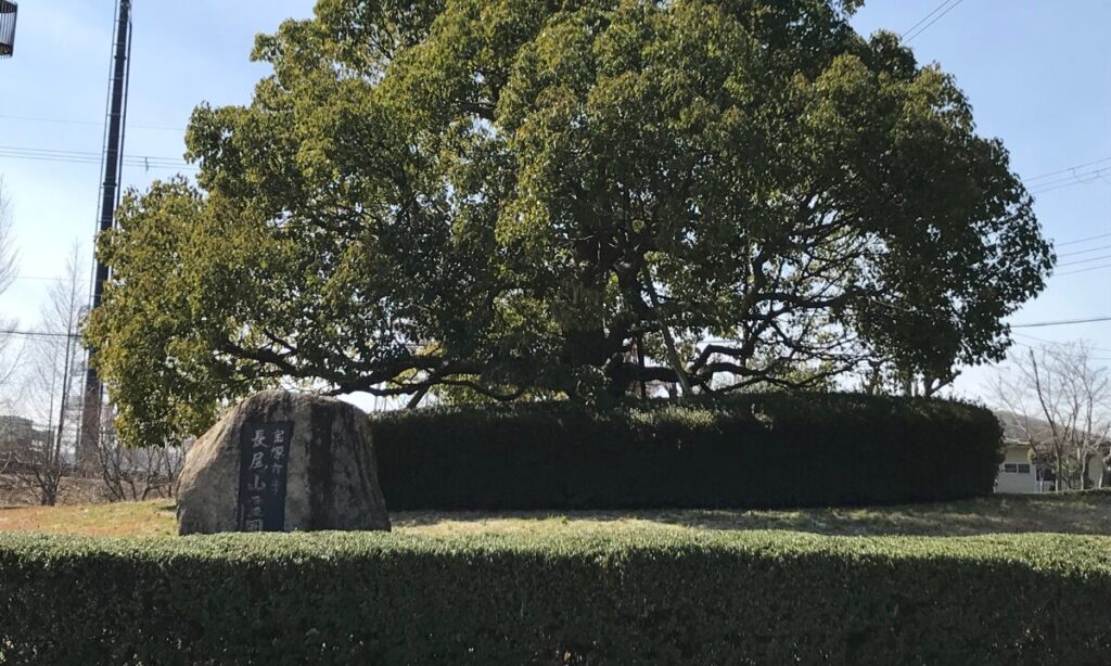 宝塚市営　長尾山霊園　完全ガイド｜永代使用料・空き区画・特徴などを施工実績【1220件以上】｜担当：長束が解説