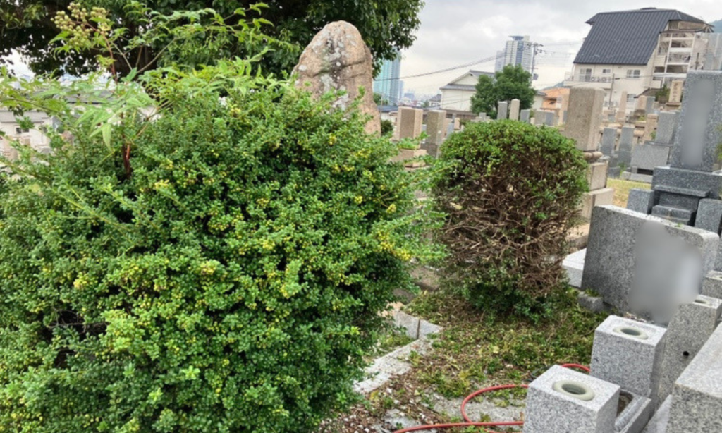 春日野墓地(神戸市中央区)植栽の剪定 大阪石材 兵庫神戸支店