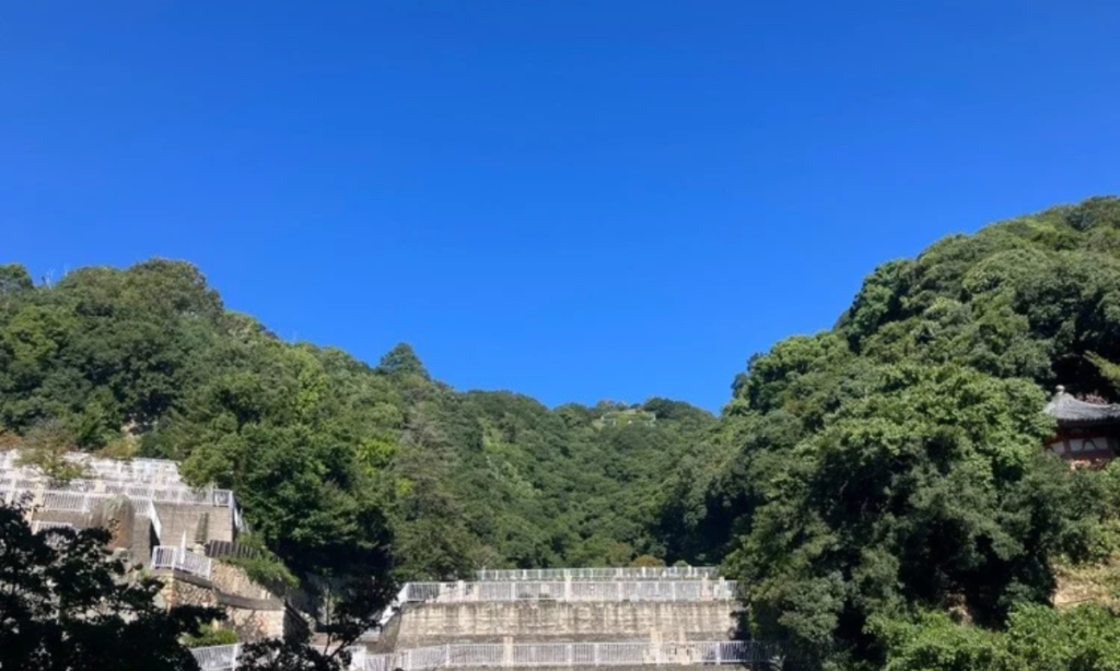 【最近急増中｜同じ墓地内での移転！？】——神戸市・追谷墓園でのご依頼とは